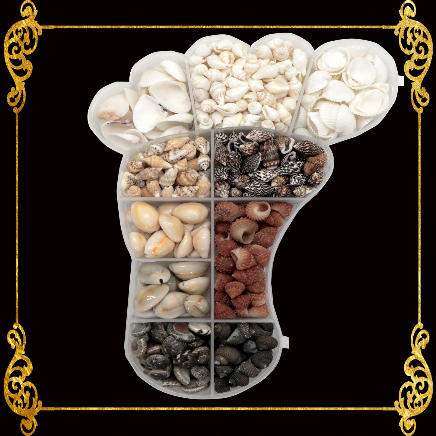 Seashell Bead Set in Baby Foot Shape Plastic Organizer