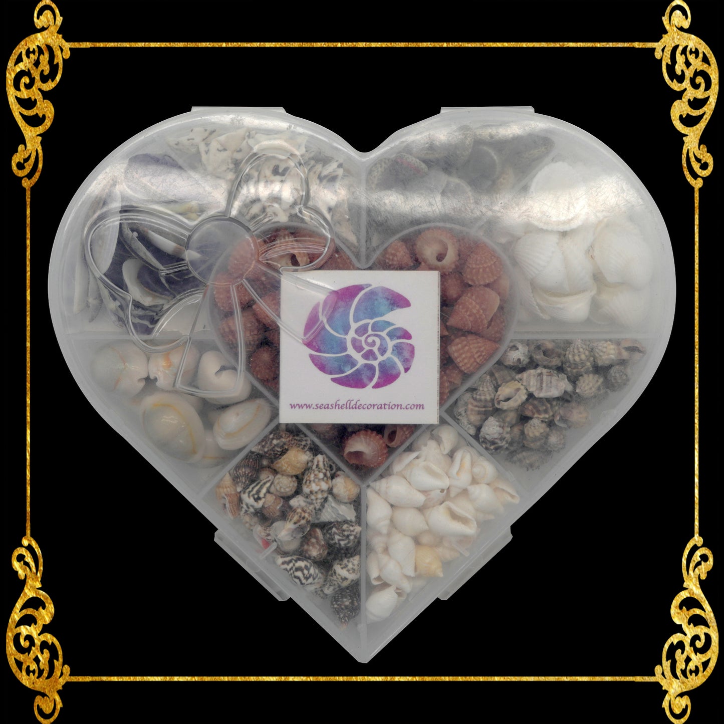 Seashell Bead Set in Heart Shape Plastic Organizer