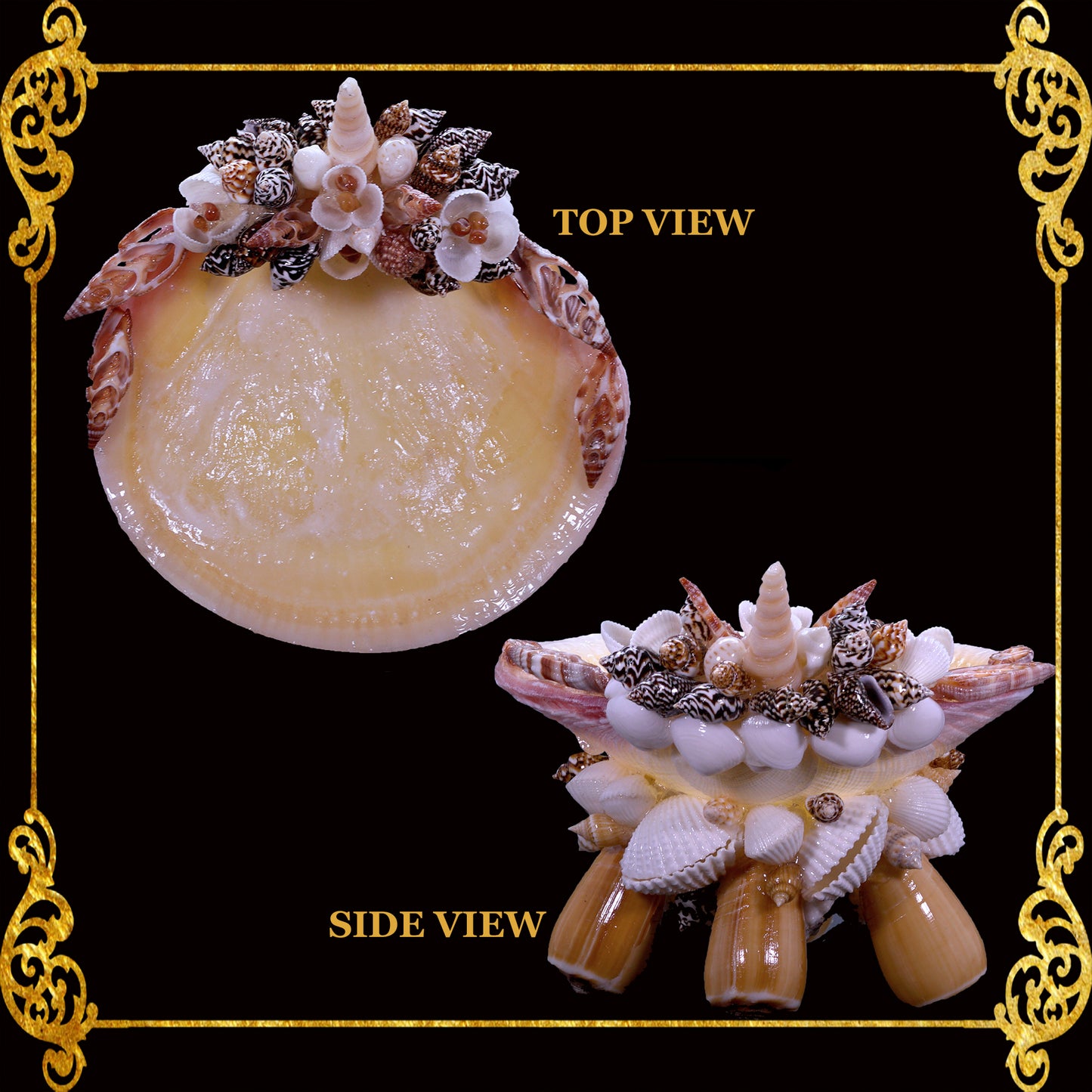 Plant Holder | Trinket | Soap Dish | Codakia with Radiatus Base