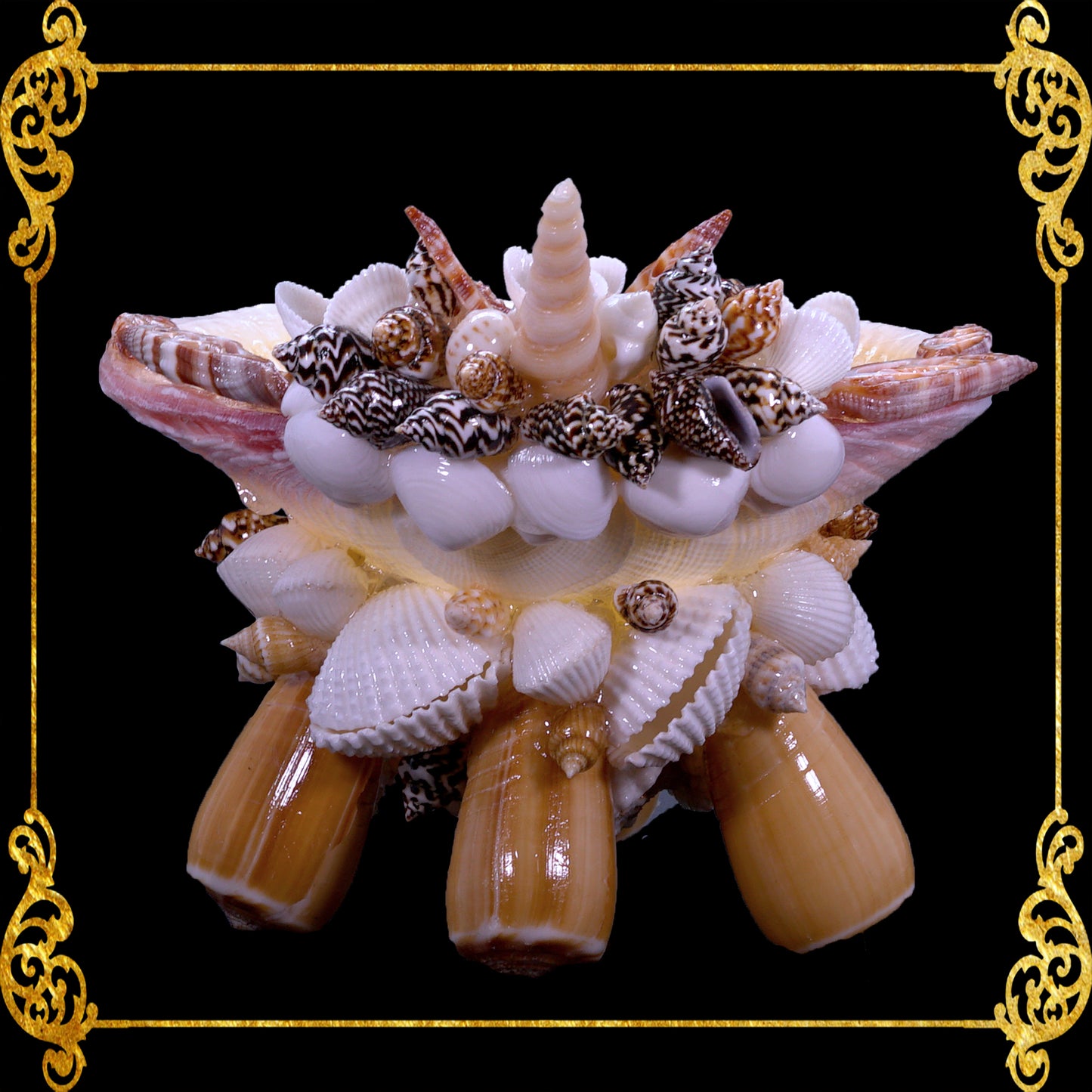 Plant Holder | Trinket | Soap Dish | Codakia with Radiatus Base