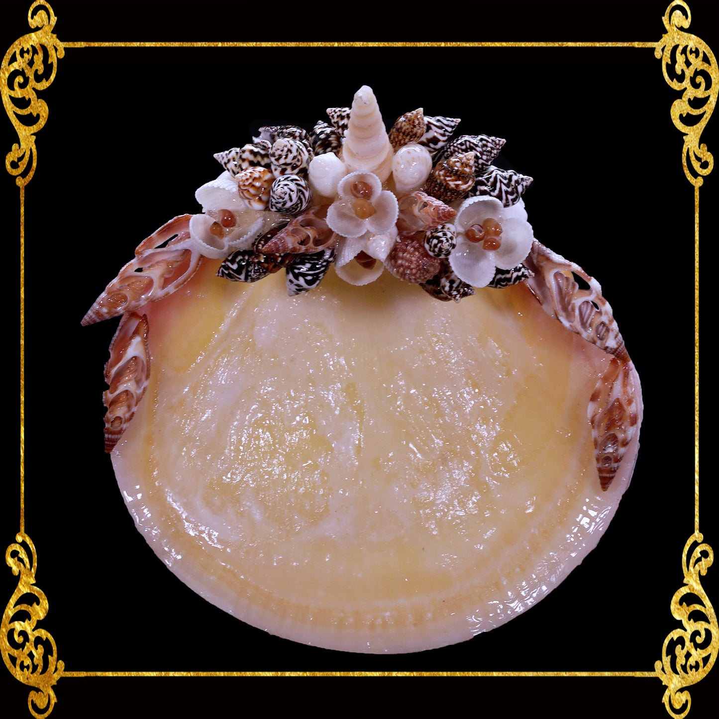 Plant Holder | Trinket | Soap Dish | Codakia with Radiatus Base