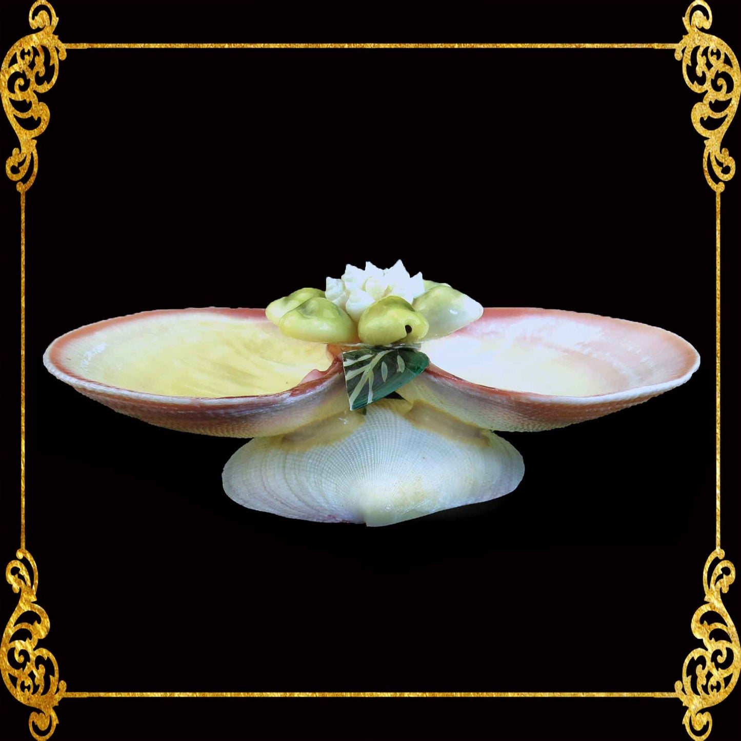 Succulents Pot | Indoor Flower Plant Potter | Salt & Pepper Pinch Tray Real Seashell | 2 Codakia with Leaves