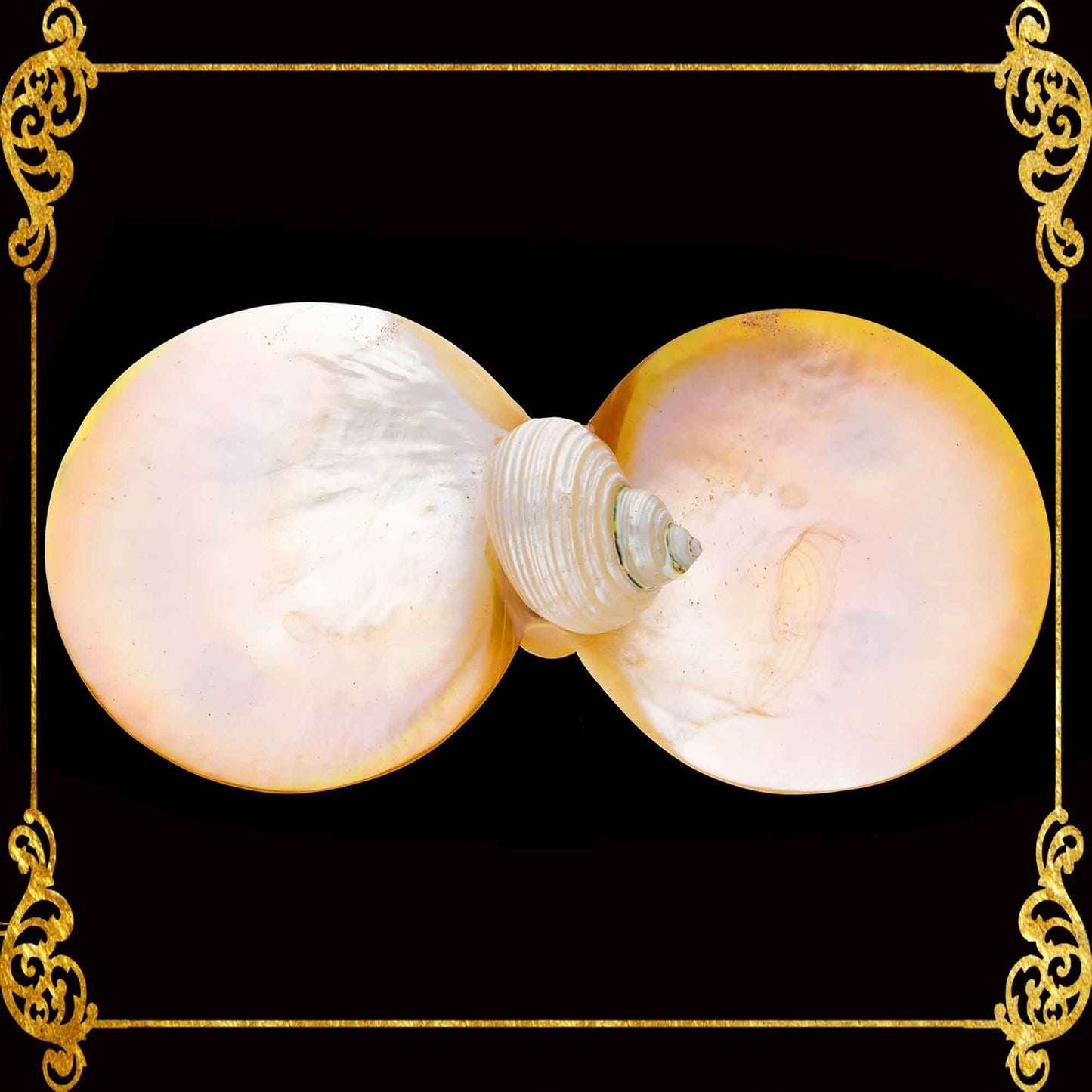 Mother of Pearl Double Dish & Trinket Tray | Coastal Decor