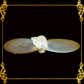 Mother of Pearl Double Dish & Trinket Tray | Coastal Decor