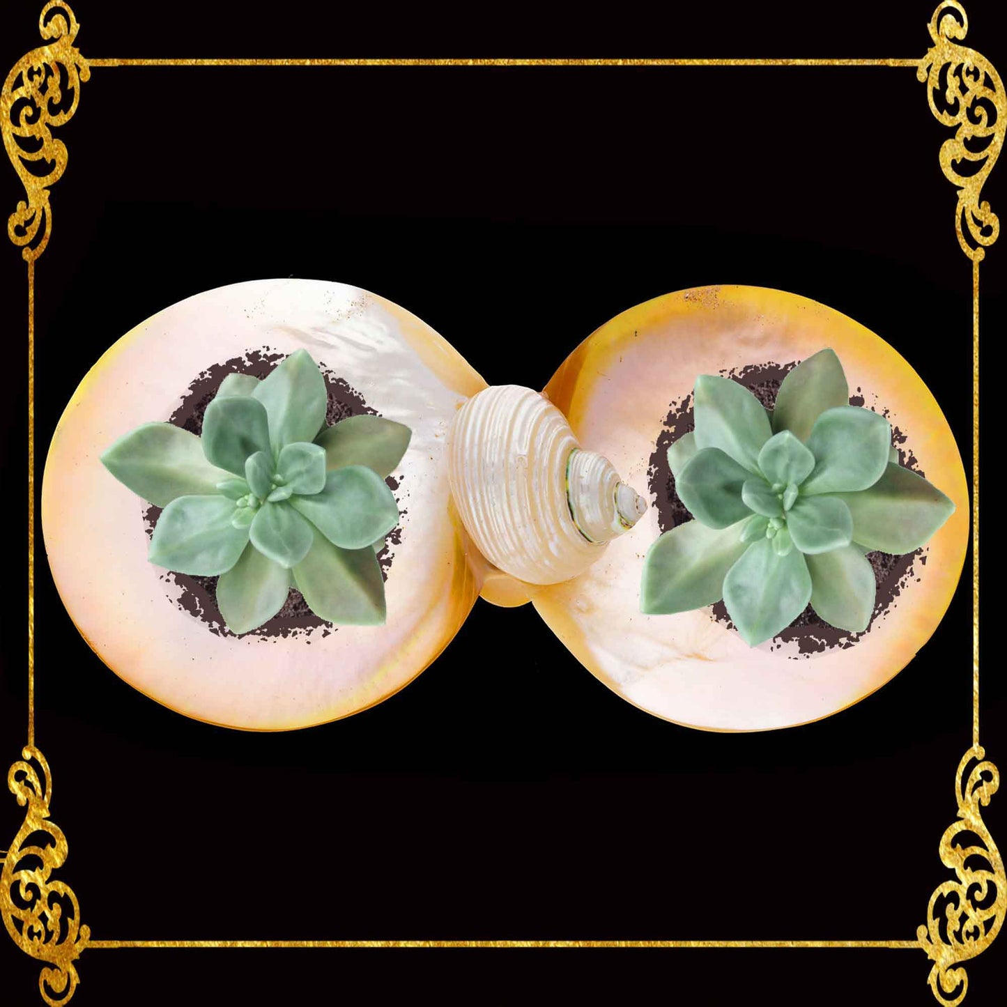 Mother of Pearl Double Dish & Trinket Tray | Coastal Decor