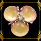 Codakia Tigerina Shell | Three-Shell Soap Dish & Jewelry Holder