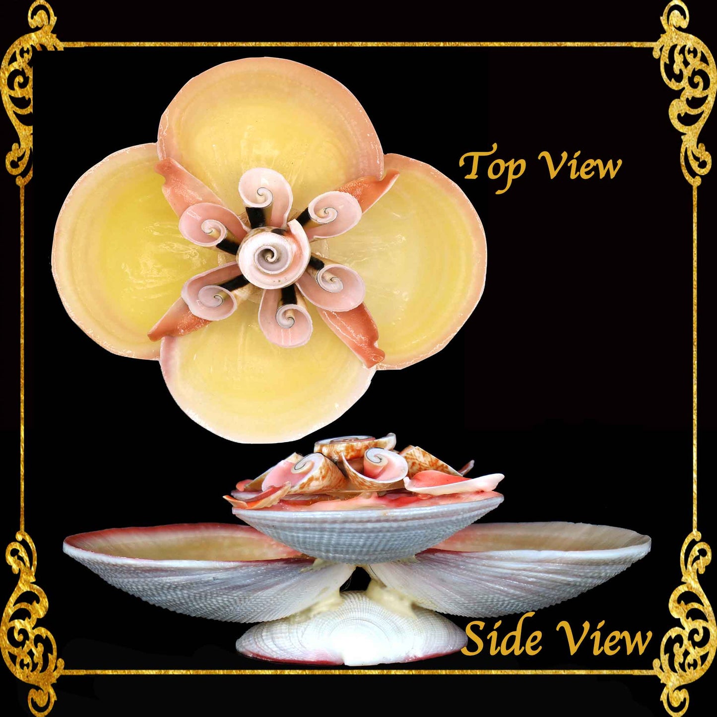 Codakia Tigerina Shell | Four-Shell Elevated Pinch Tray & Trinket Dish A