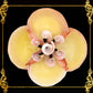 Codakia Tigerina Shell | Four-Shell Elevated Pinch Tray & Trinket Dish A