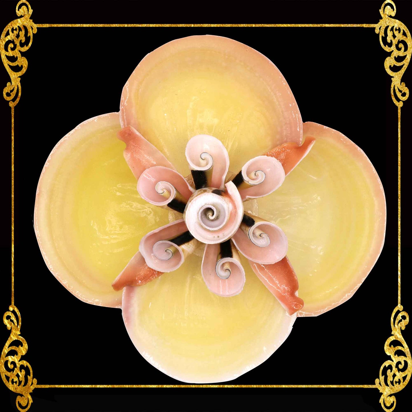 Codakia Tigerina Shell | Four-Shell Elevated Pinch Tray & Trinket Dish A