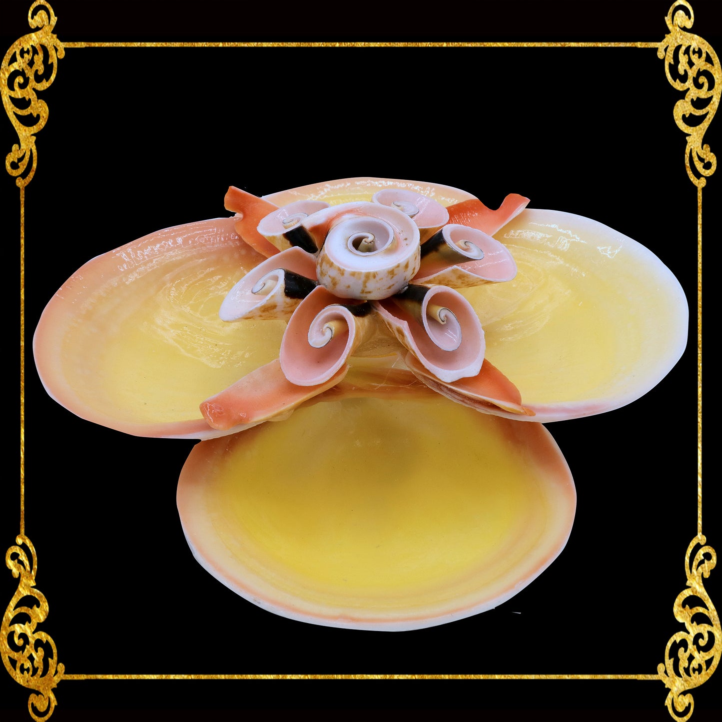 Codakia Tigerina Shell | Four-Shell Elevated Pinch Tray & Trinket Dish A