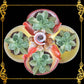 Codakia Tigerina Shell | Four-Shell Elevated Pinch Tray & Trinket Dish B