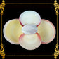 Codakia Tigerina Shell | Four-Shell Elevated Pinch Tray & Trinket Dish C