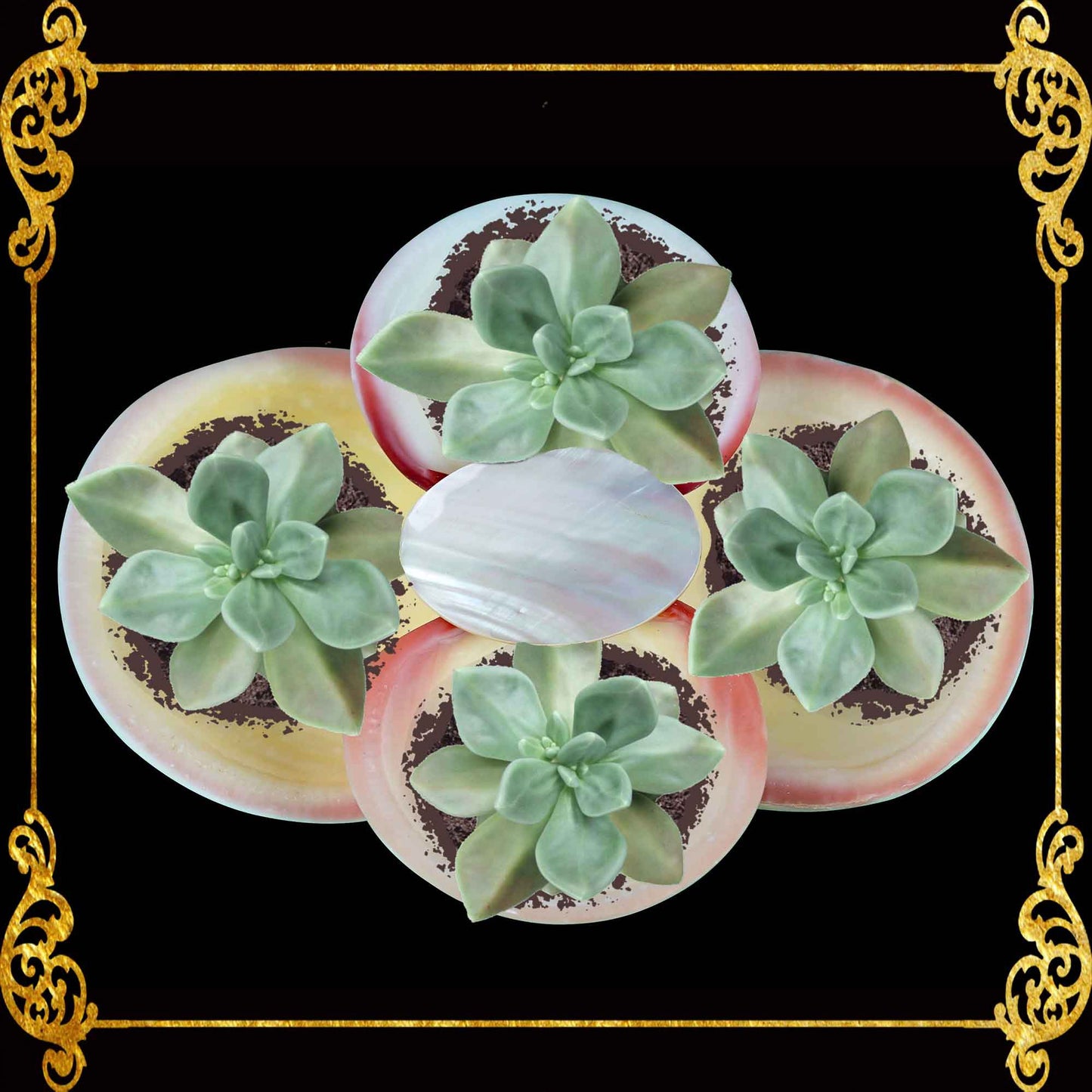 Codakia Tigerina Shell | Four-Shell Elevated Pinch Tray & Trinket Dish C