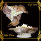 Succulents Pot | Indoor Flower Plant Potter | Real Seashell | 3 Fasciolara With Caycay Shells