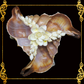 Succulents Pot | Indoor Flower Plant Potter | Real Seashell | 3 Fasciolara With Caycay Shells