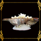 Succulents Pot | Indoor Flower Plant Potter | Real Seashell | 3 Fasciolara With Caycay Shells