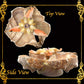 Fasciolara Shell | Floral Soap Dish & Trinket Tray