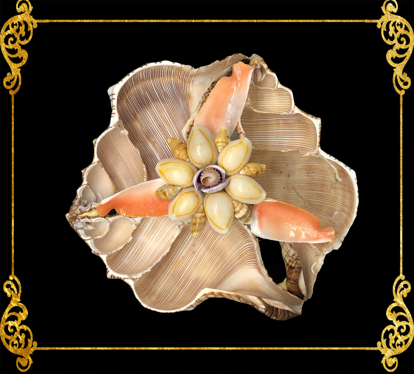 Fasciolara Shell | Floral Soap Dish & Trinket Tray