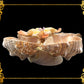Fasciolara Shell | Floral Soap Dish & Trinket Tray