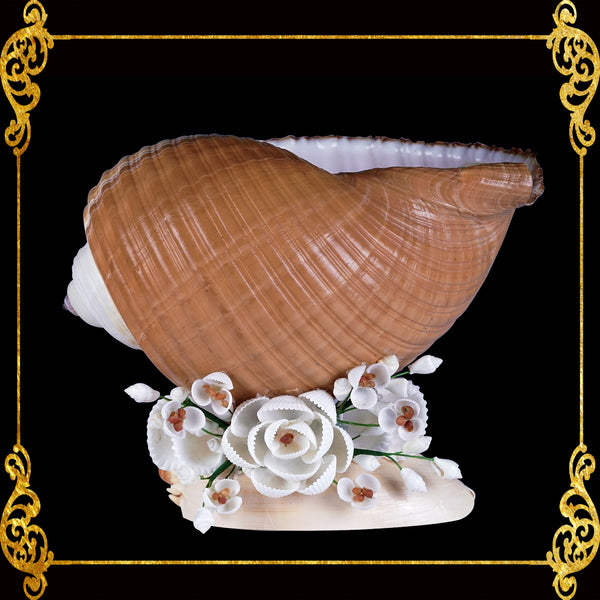 Tona Galea Shell Floral Planter Bowl & Decorative Centerpiece