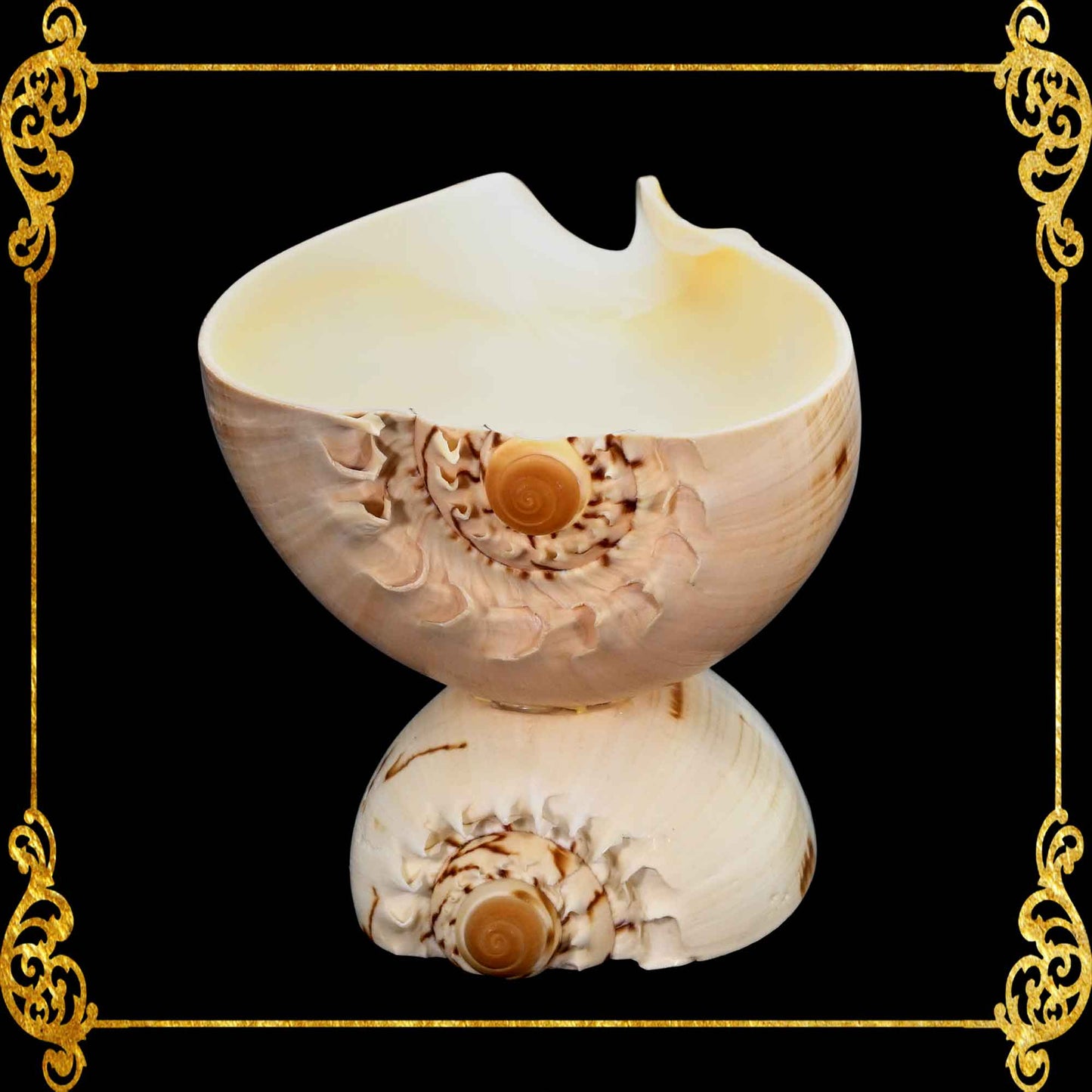 Melo Shell | Natural Multi-Use Bowl & Soap Dish