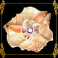 Fasciolara Shell | Floral Soap Dish & Trinket Tray