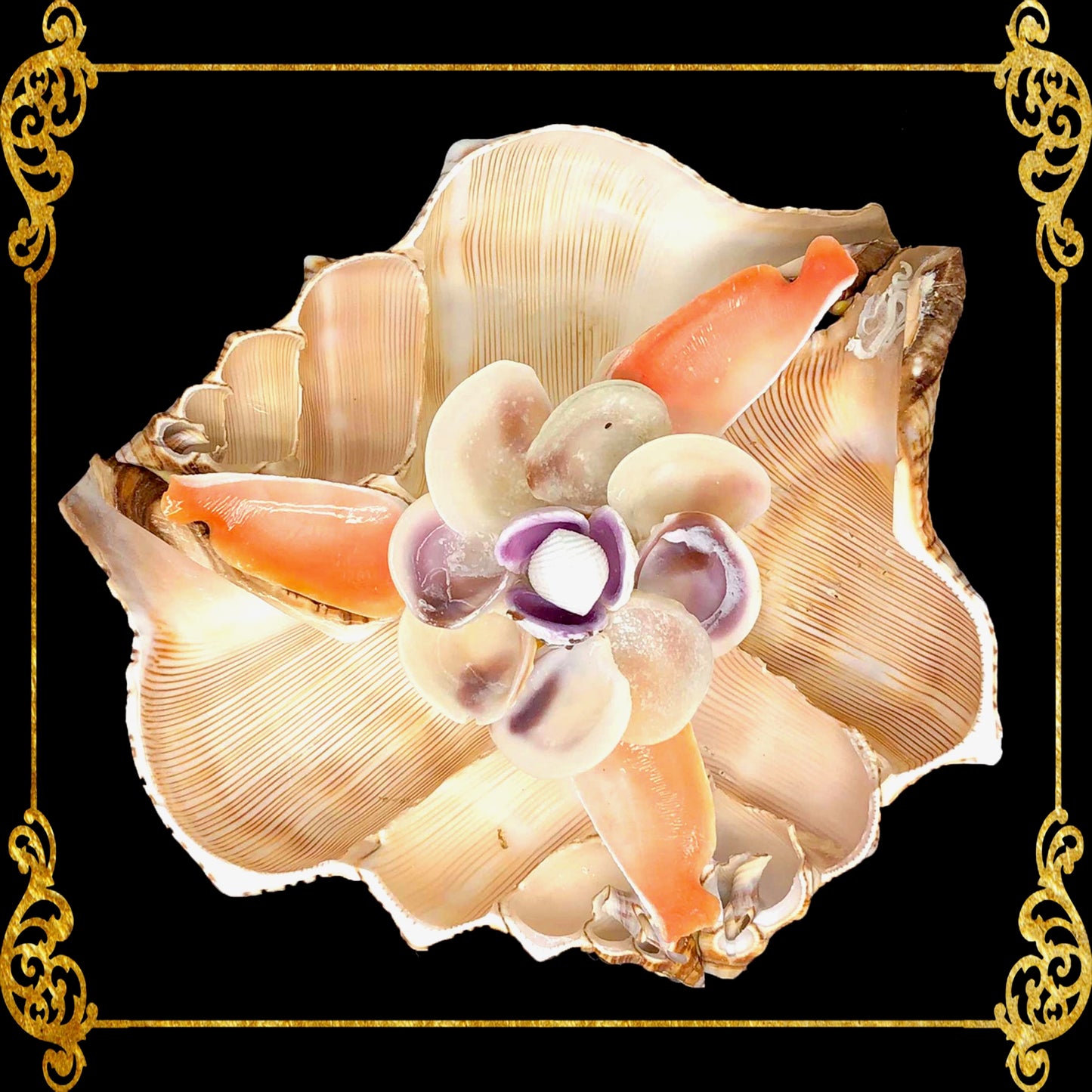 Fasciolara Shell | Floral Soap Dish & Trinket Tray