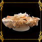 Fasciolara Shell | Floral Soap Dish & Trinket Tray