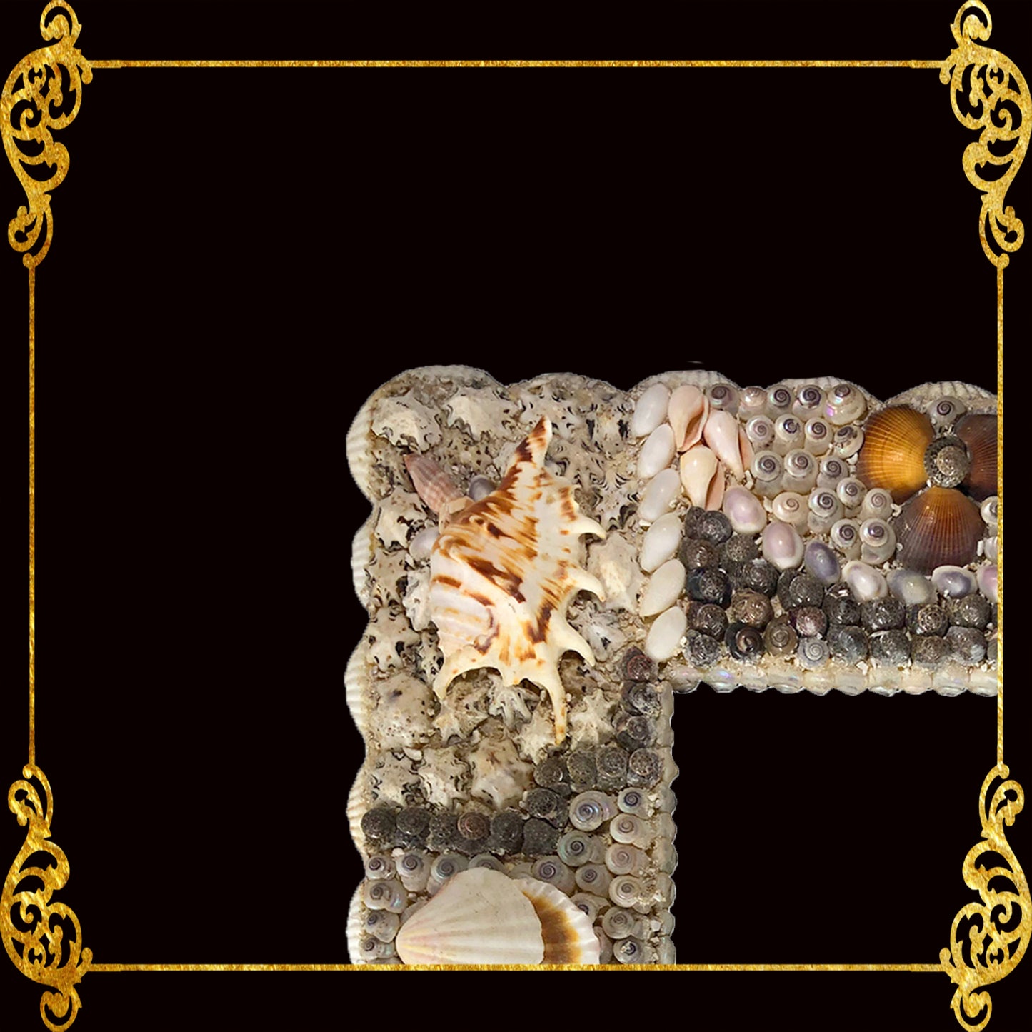 Seashell Picture Frame 10