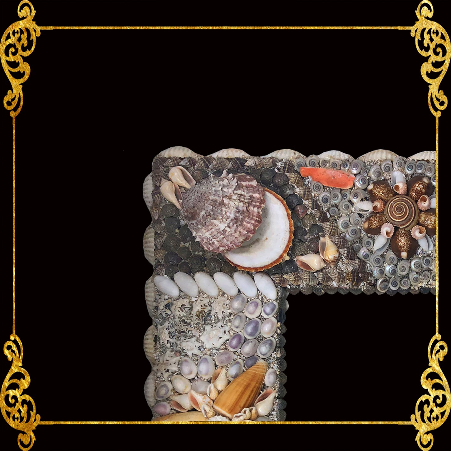 Seashell Frame | Assorted Shell - Picture Frame