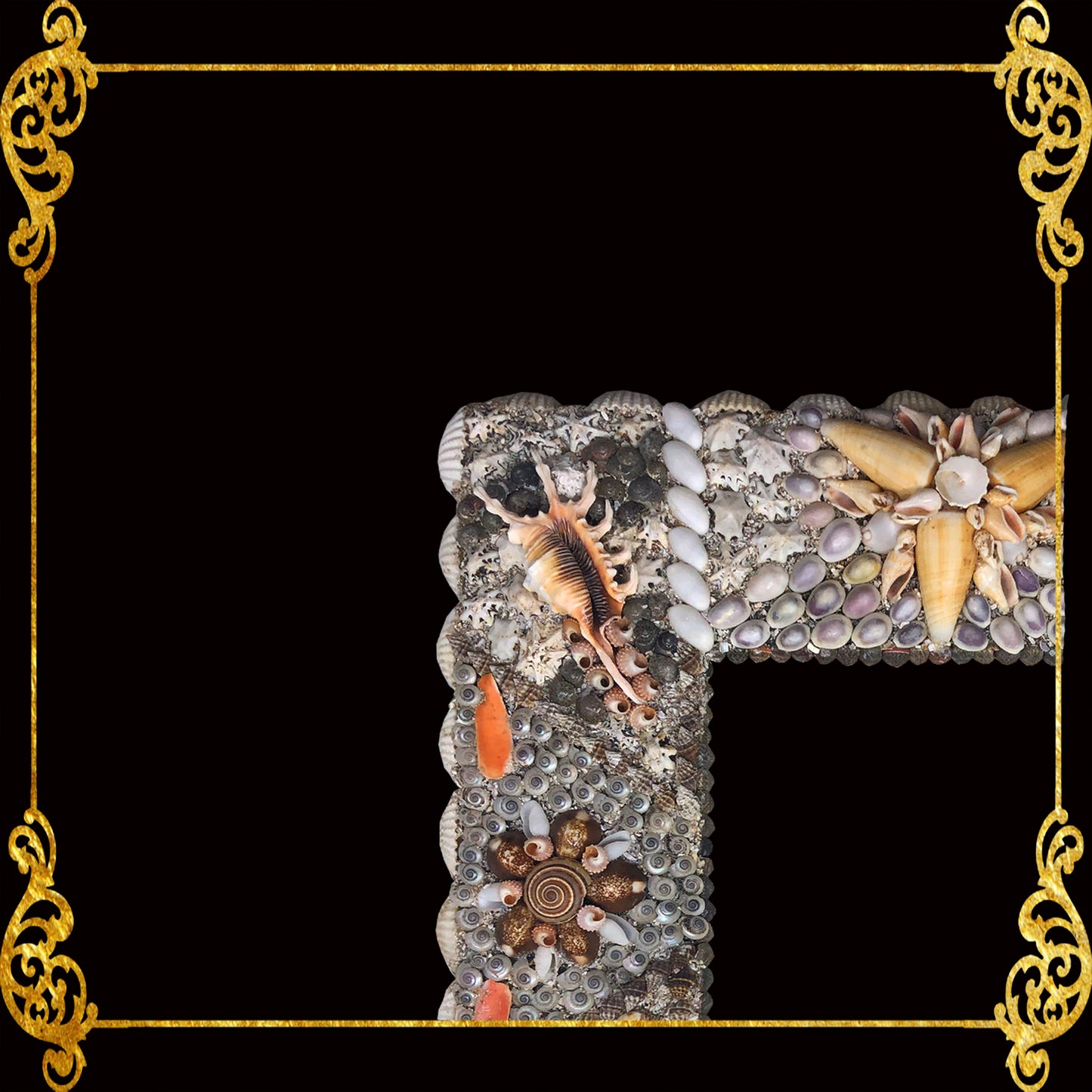 Seashell Frame | Assorted Shell - Picture Frame