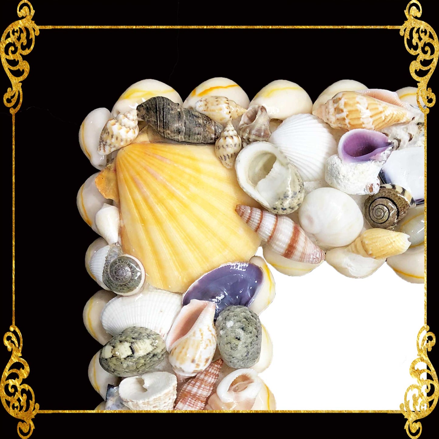 Seashell Picture Frame 8