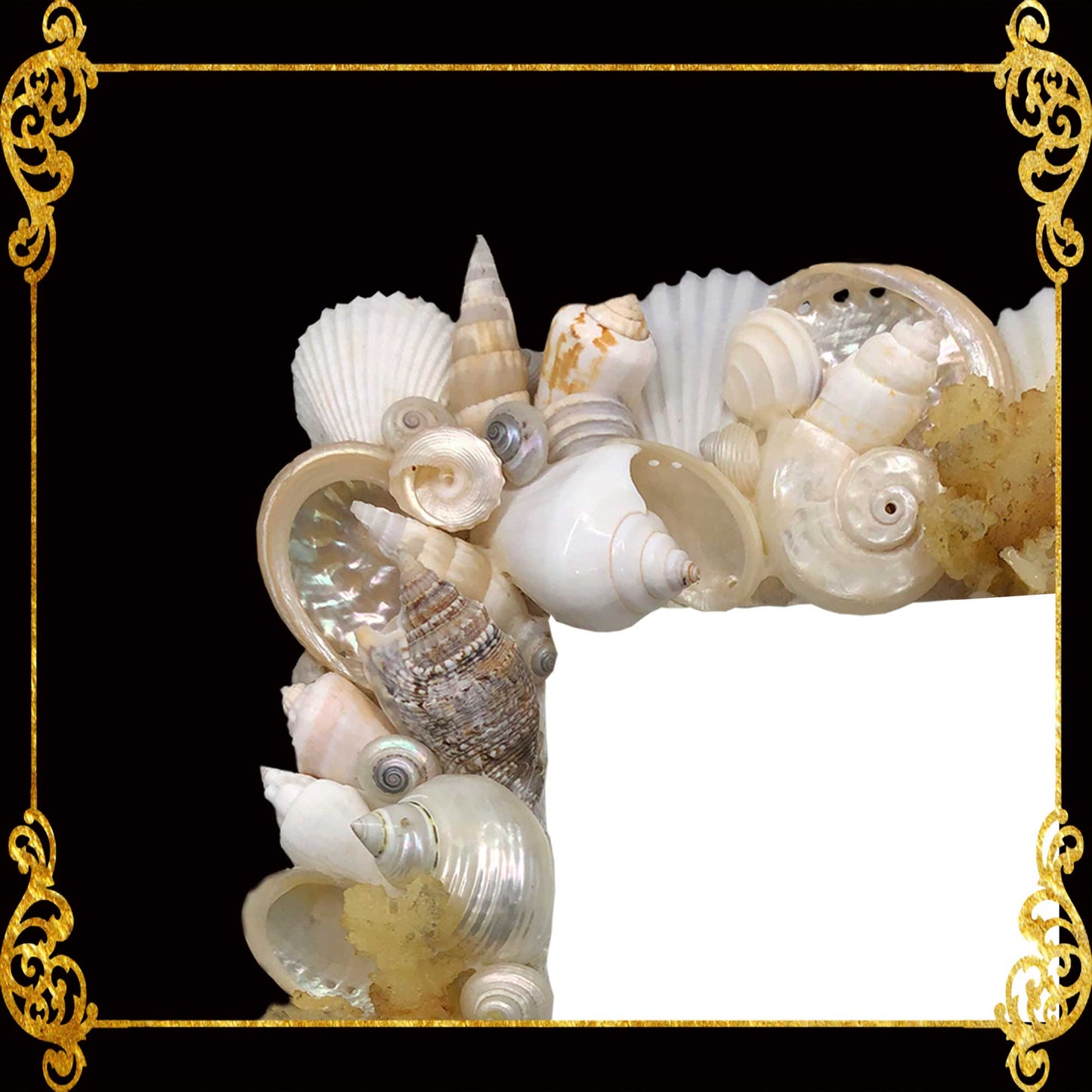 Seashell Picture Frame 4