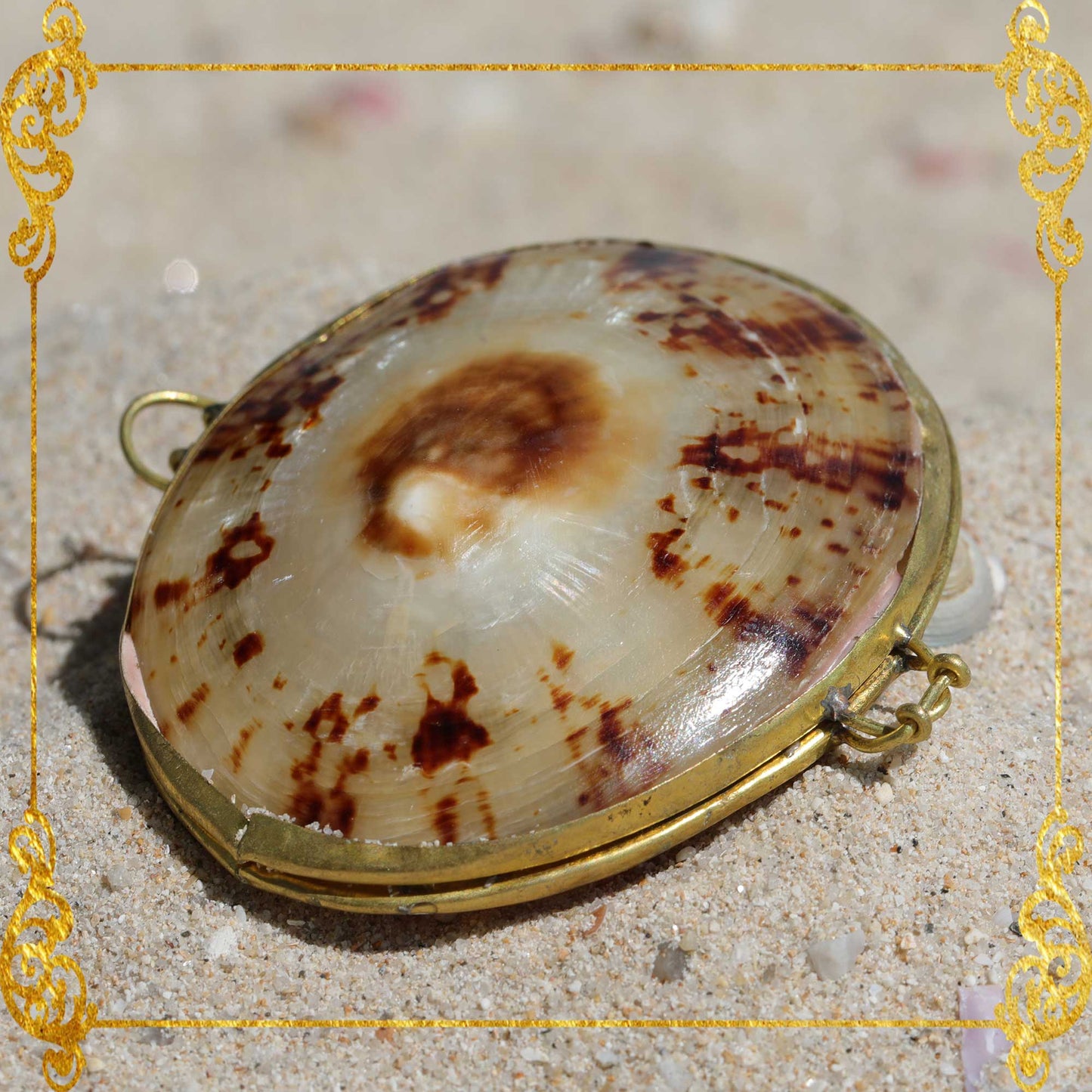 Coin Purse | Pill Box | Jewelry Holder | Made of Real Seashells