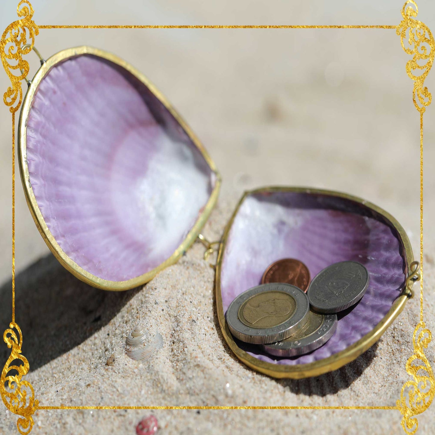 Coin Purse | Pill Box | Jewelry Holder | Made of Real Seashells