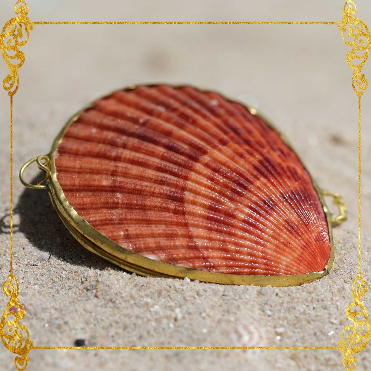 Coin Purse | Pill Box | Jewelry Holder | Made of Real Seashells