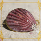 Coin Purse | Pill Box | Jewelry Holder | Made of Real Seashells