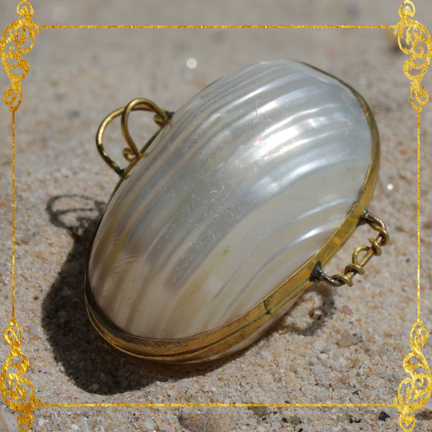 Coin Purse | Pill Box | Jewelry Holder | Made of Real Seashells