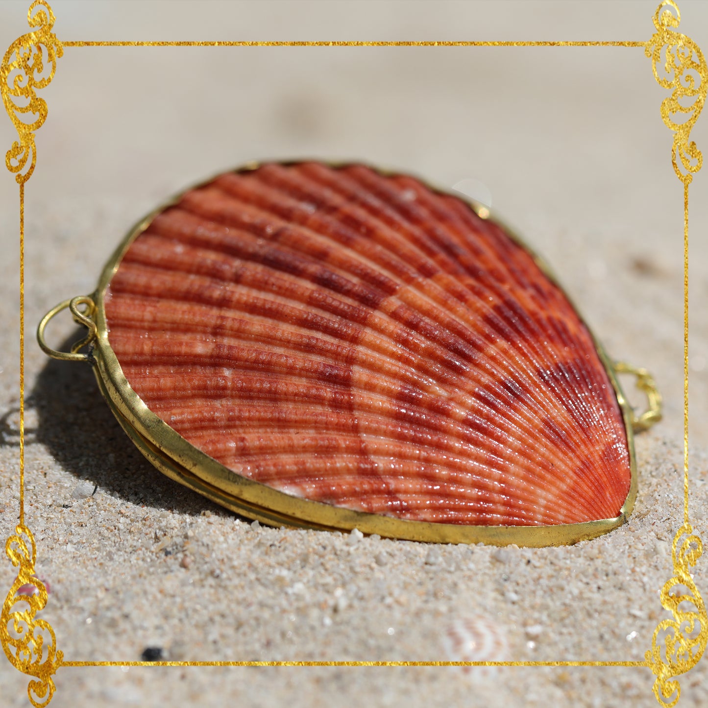 Coin Purse | Pill Box | Jewelry Holder | Made of Real Seashells