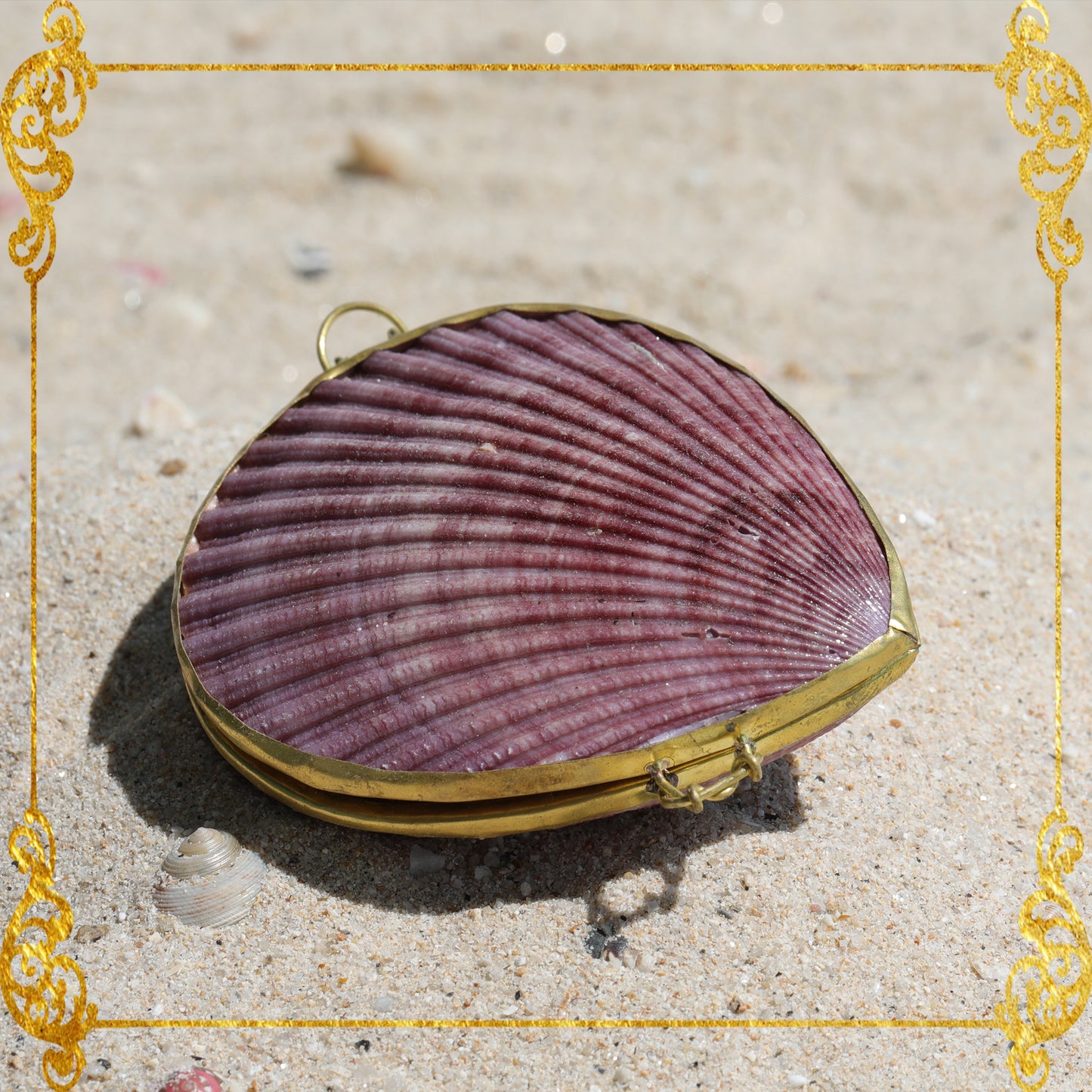 Coin Purse | Pill Box | Jewelry Holder | Made of Real Seashells