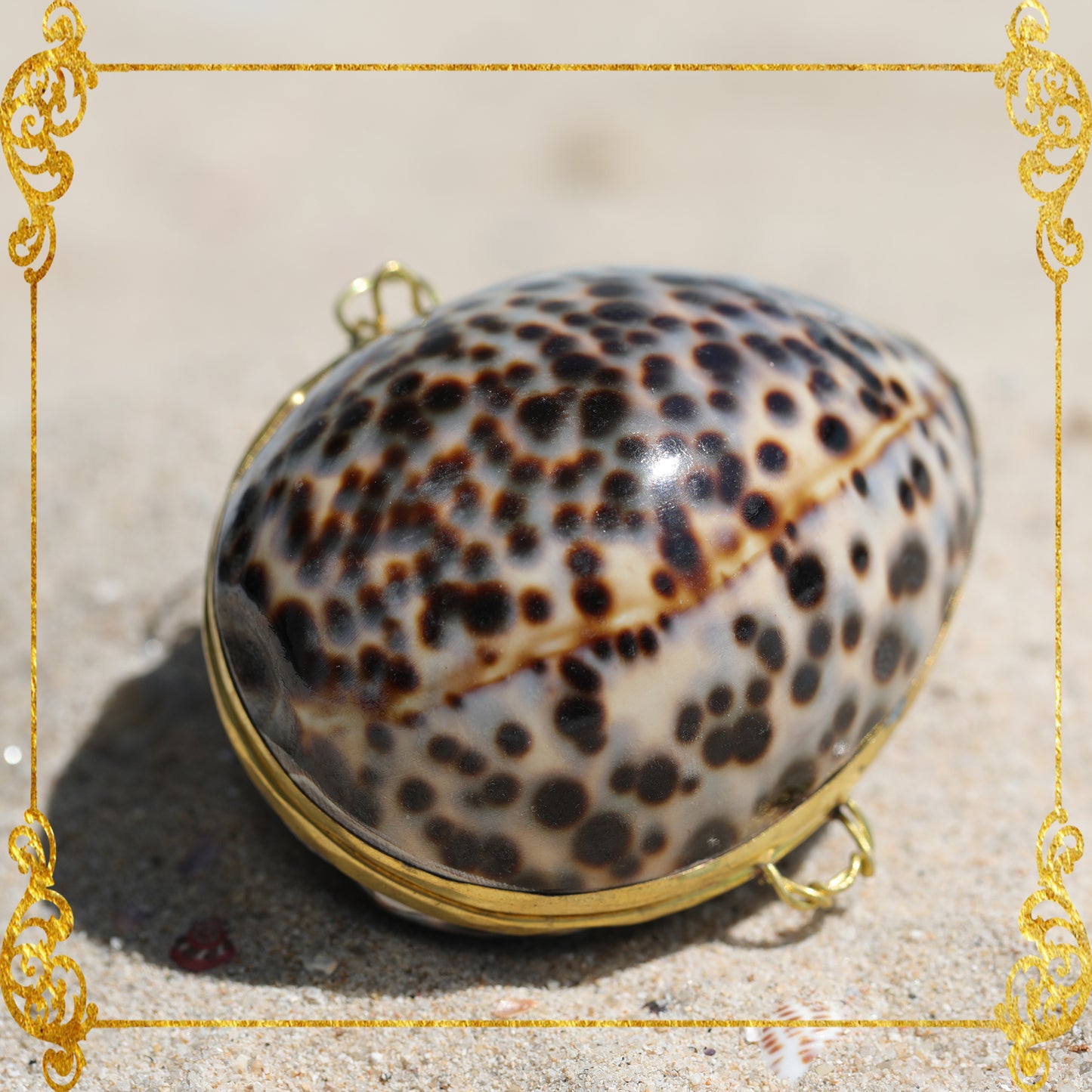 Coin Purse | Pill Box | Jewelry Holder | Made of Real Seashells