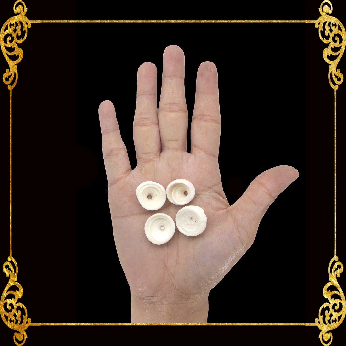 500 Grams | Puka Shell | Medium | 1.1 - 1.4 cm
