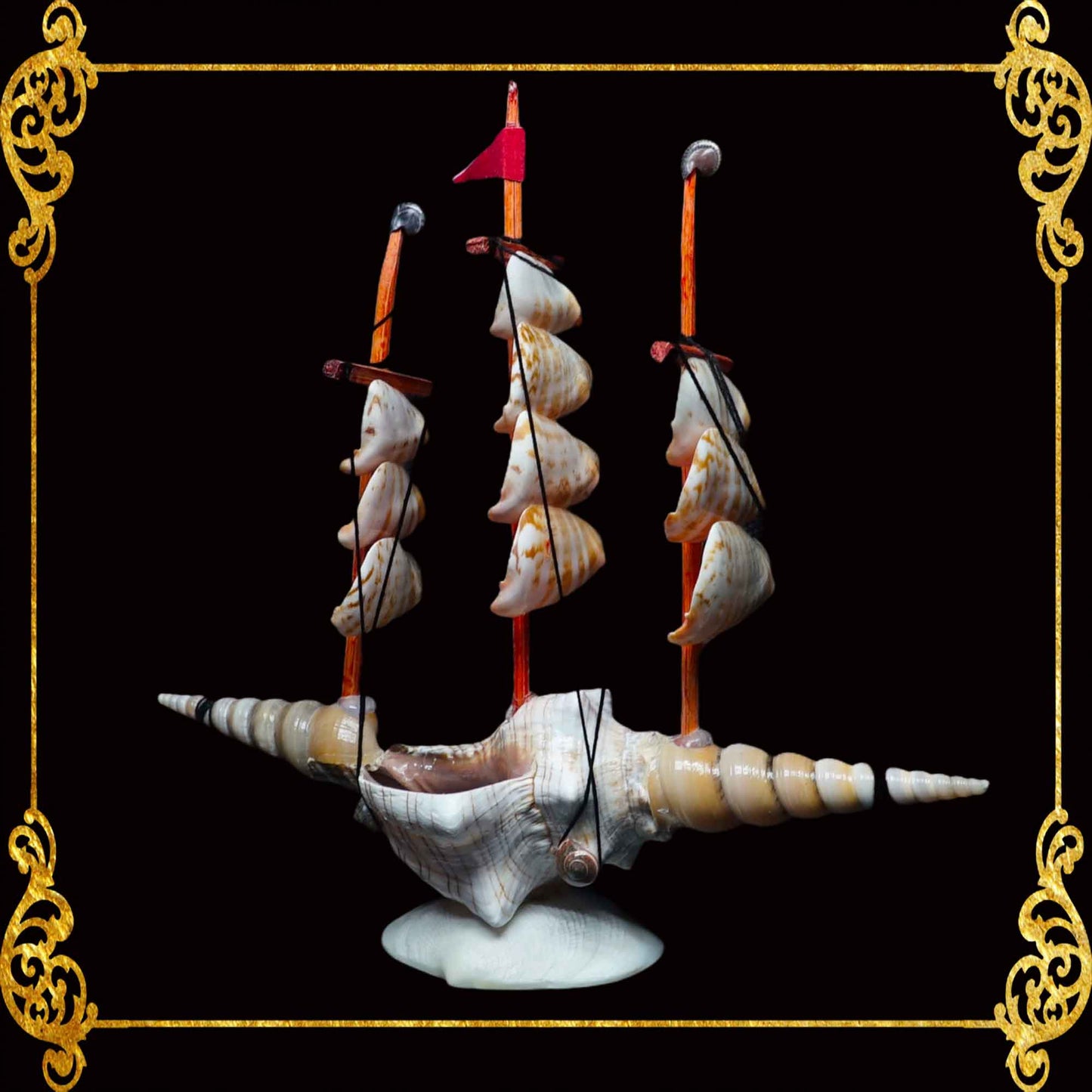 Seashell Boat