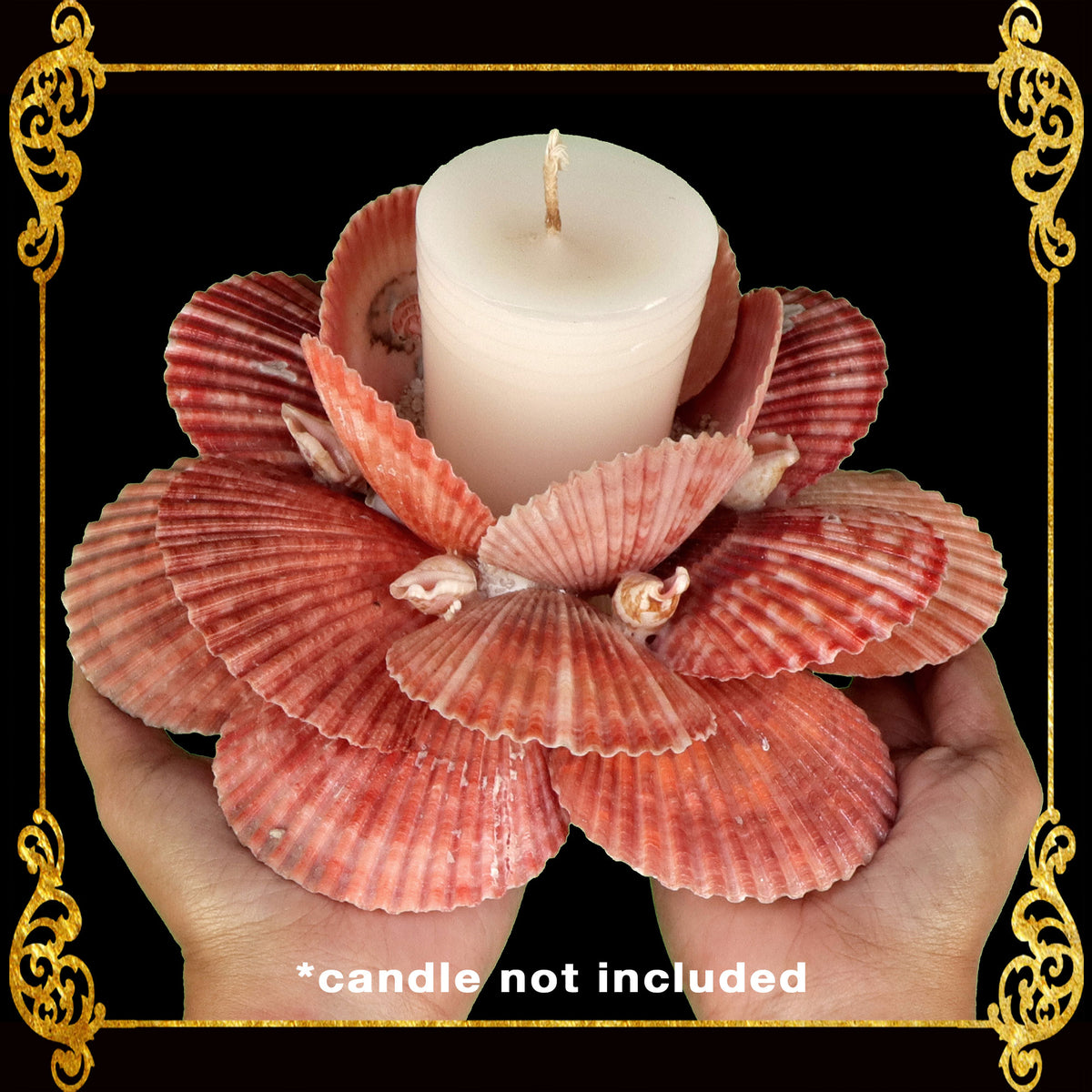 Seashell Candle Holder Made of Scallop Pecten Nobilis | Red Orange
