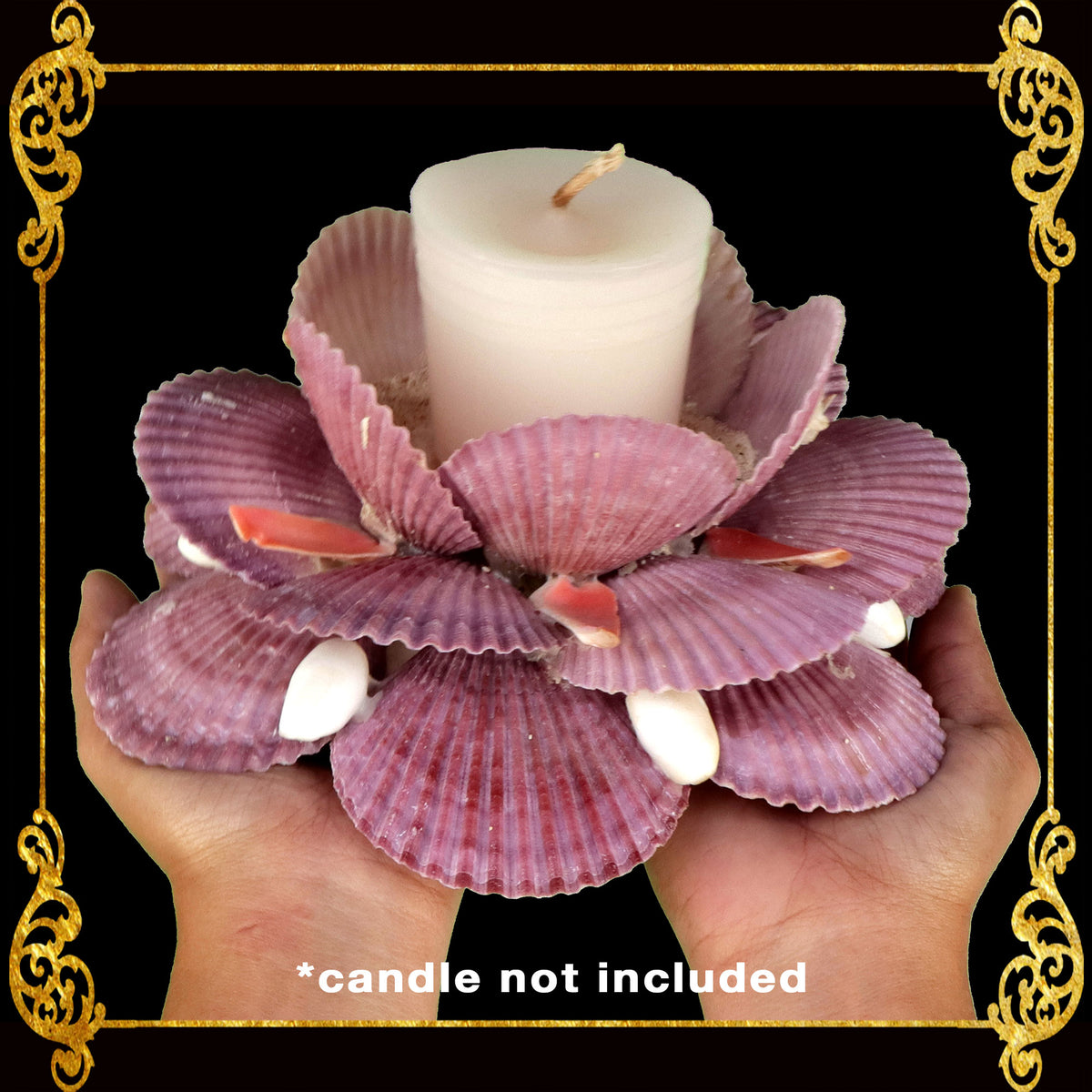 Seashell Candle Holder Made of Scallop Pecten Nobilis | Violet