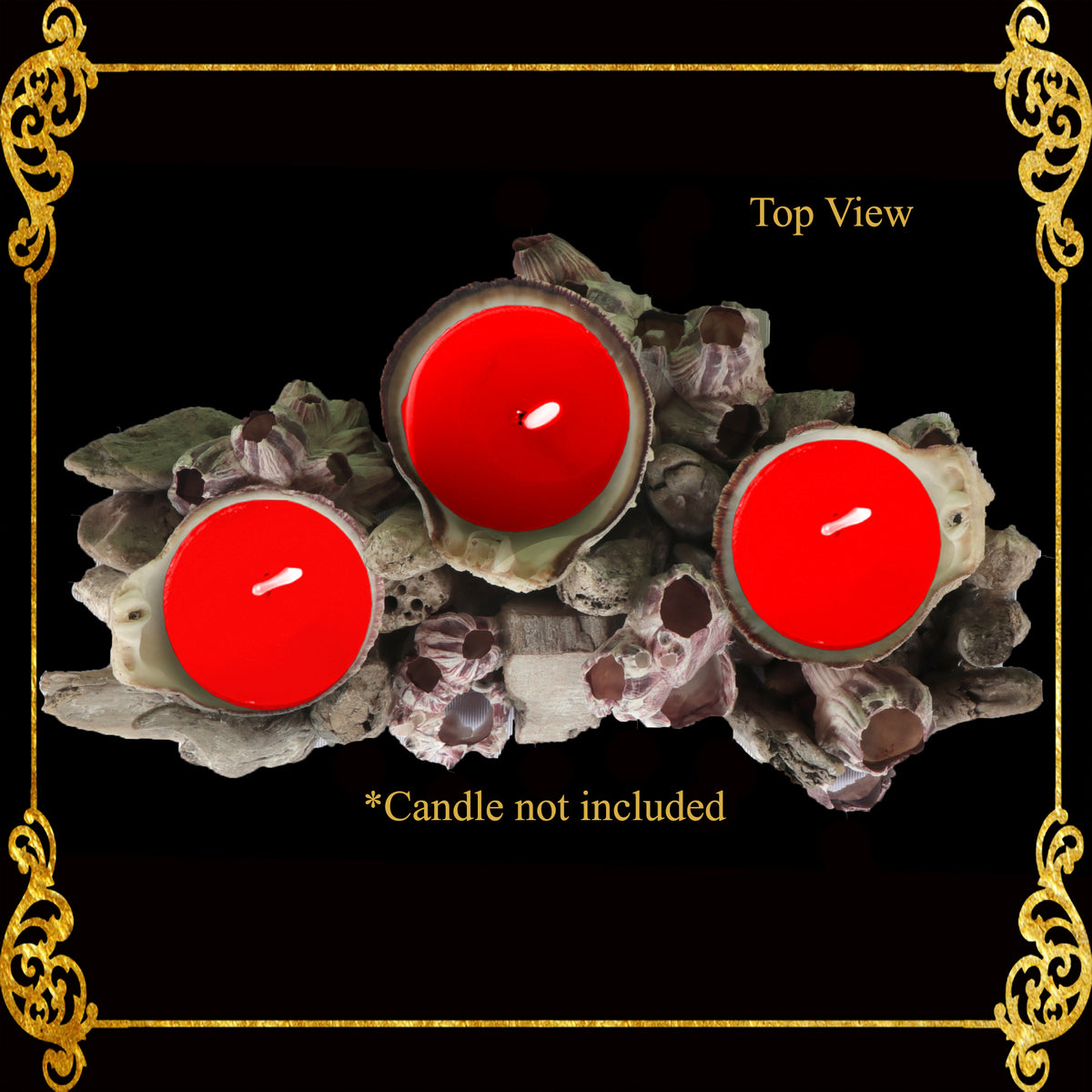 Seashell Candle Holder | Barnacle