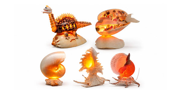 Lamps