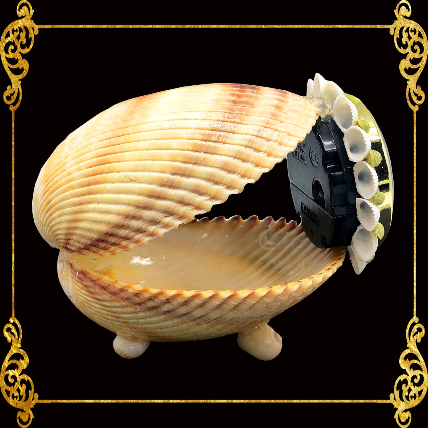 Seashell Table Top Clock | Cockle Giant