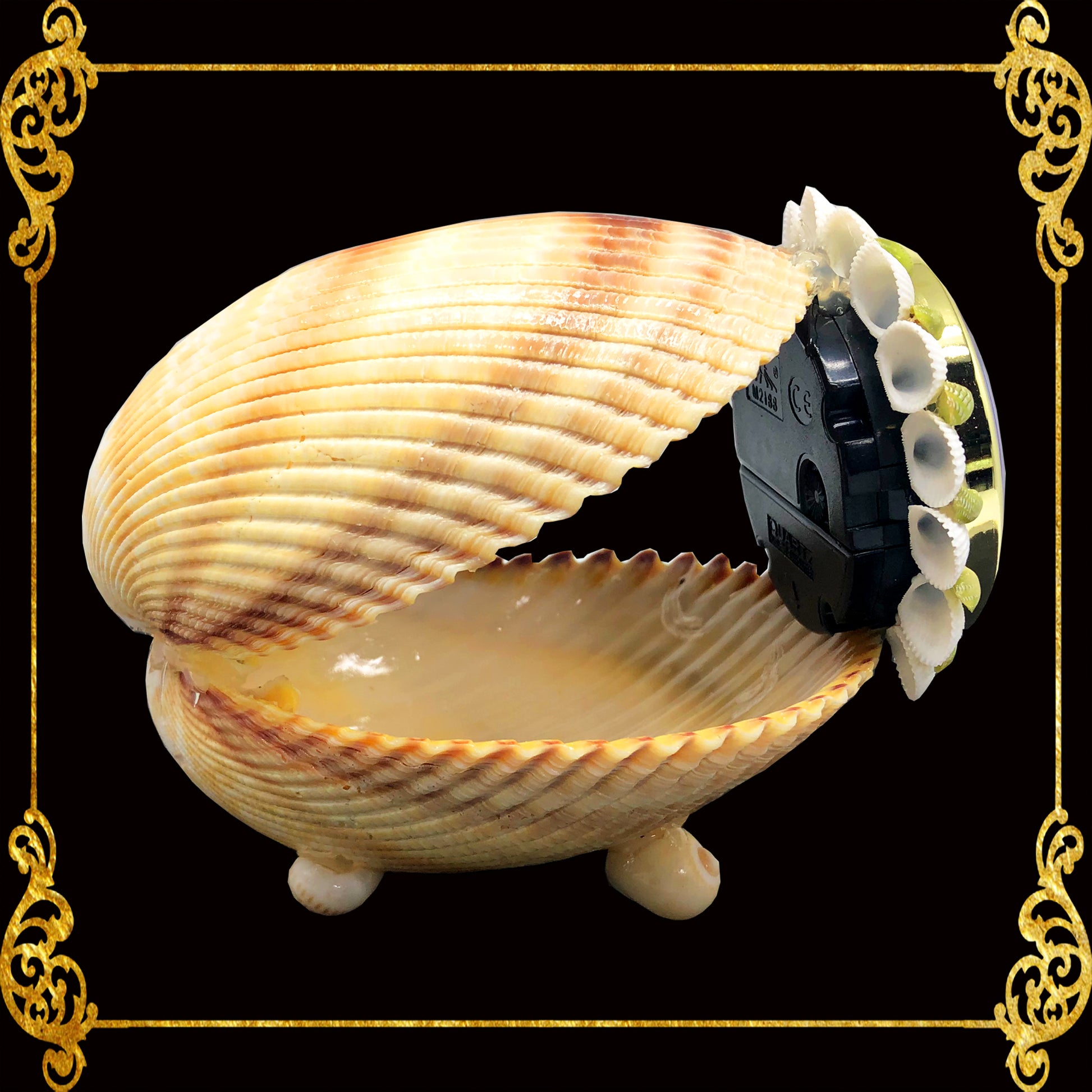 Seashell Table Top Clock | Cockle Giant Shell – Seashell Supplies ...
