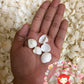 500 Grams | Clamrose | Anadara Pilula | Medium